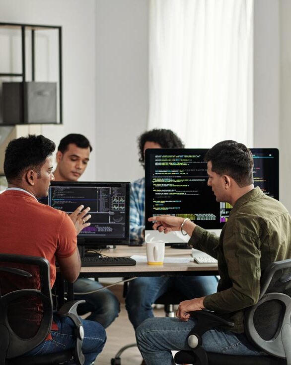 software development