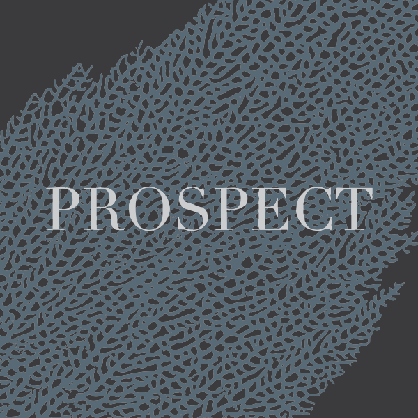 prospectsf logo